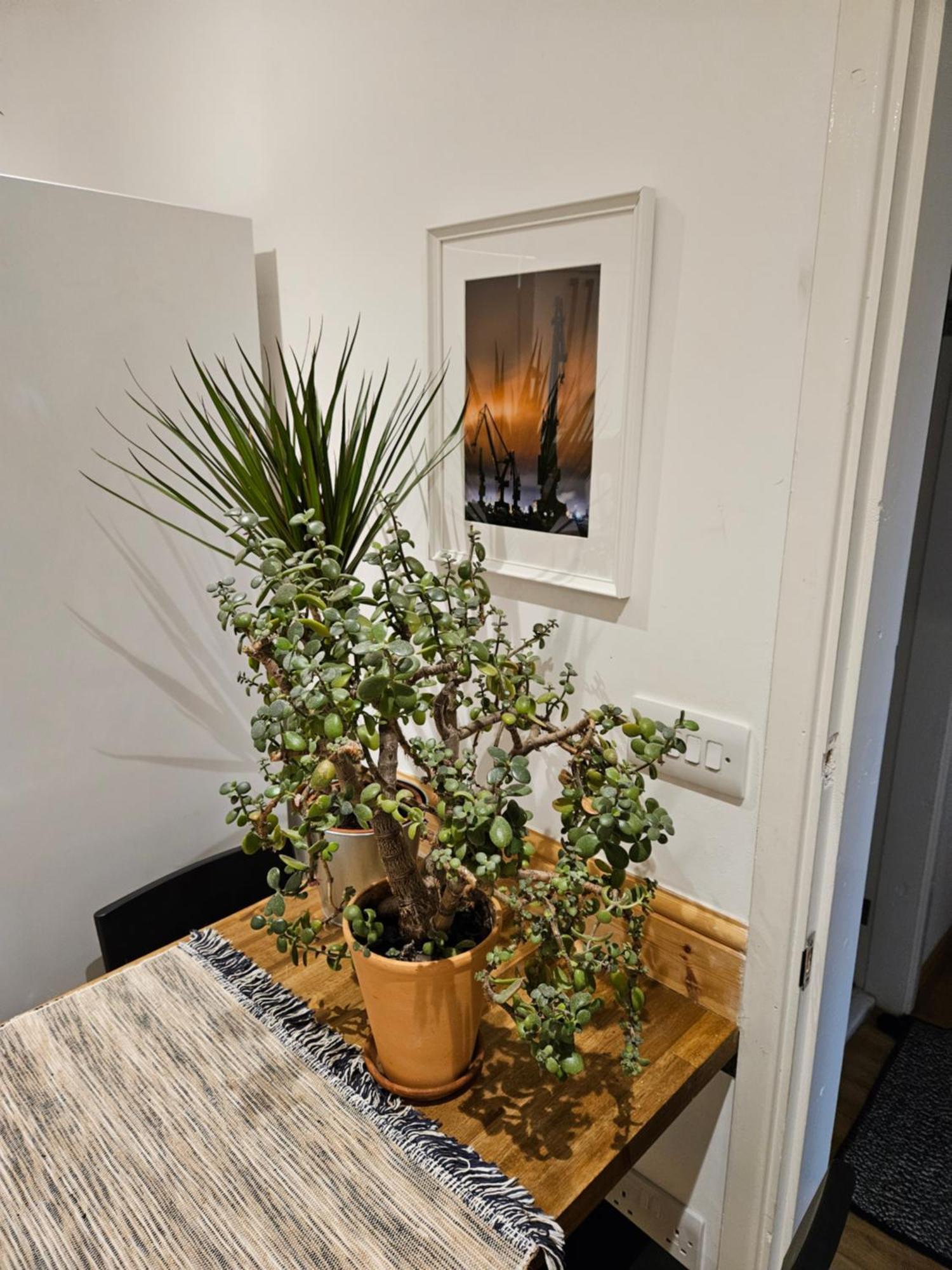 Beautiful House In The Heart Of A Golf Course. Appartement